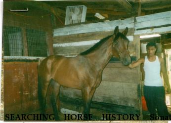 SEARCHING HORSE HISTORY Sonata Rainbow, Near Stevenson, MD, 21153